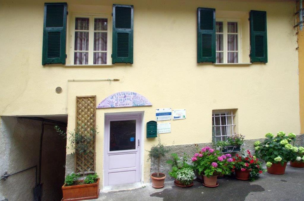 Agriturismo Nonnamelia Nasino Экстерьер фото