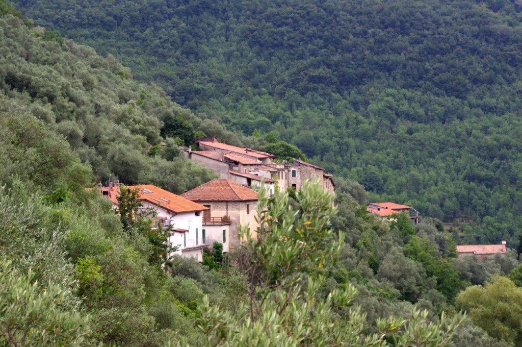 Agriturismo Nonnamelia Nasino Экстерьер фото