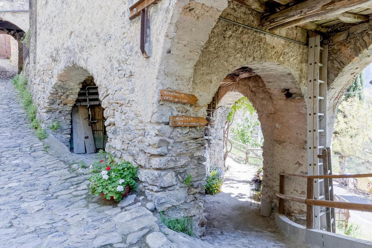 Agriturismo Nonnamelia Nasino Экстерьер фото